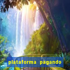 plataforma pagando bem hoje